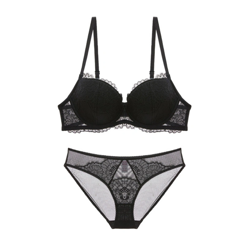 Sexy Lace Ladies Plus-Size Transparent Wholesale Soft Women Set Corset Bra Underwear