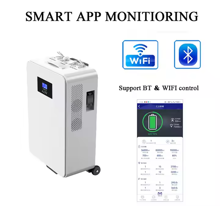 Movable Portable Home Energy Storage System 51.2V Lithium Battery Pack 48V 100AH LiFePO4 Battery with inverter