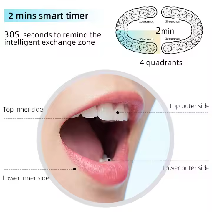 Custom Wholesale Automatic Smart Sonic Toothbrush Electric Toothbrush Rechargeable Tooth Brush with Medium Bristle